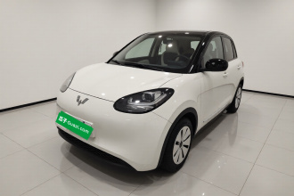 五菱汽车 五菱缤果 2023款 203km 轻享款