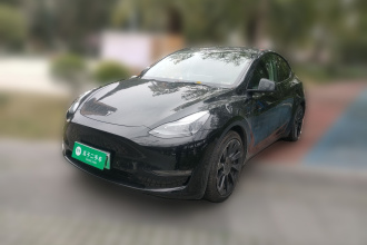 特斯拉 Model Y 2021款 标准续航后驱版