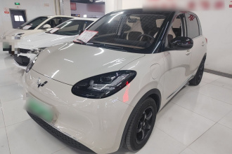 五菱汽车 五菱缤果 2024款 333km 灵犀互联款