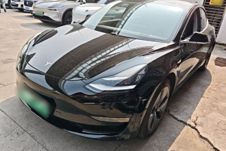 特斯拉 Model 3 2020款 标准续航后驱升级版