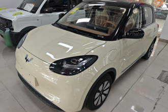 五菱汽车 五菱缤果 2024款 333km 悦享款