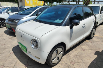 欧拉黑猫 2021款 301km 基础型