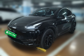 特斯拉 Model Y 2021款 长续航全轮驱动版