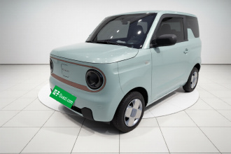 吉利银河 2024款 熊猫mini 200km 耐力熊