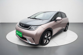 比亚迪 海豚 2021款 401km 骑士版