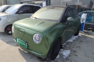 欧拉黑猫 2021款 301km 基础型