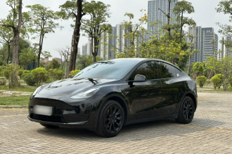 特斯拉 Model Y 2024款 后轮驱动版