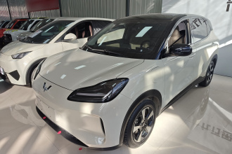 五菱汽车 五菱缤果PLUS 2024款 510km 旗舰版 四座版