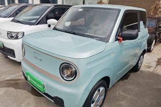 吉利银河 2023款 熊猫mini 200km 耐力熊