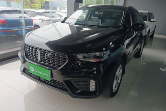 魏牌 VV5 2020款 1.5T 两驱颜先锋