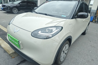 五菱汽车 五菱缤果 2024款 203km 轻享款