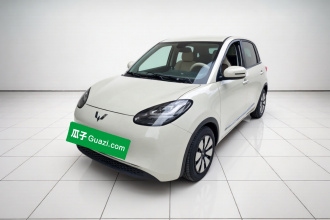 五菱汽车 五菱缤果 2023款 203km 舒享款