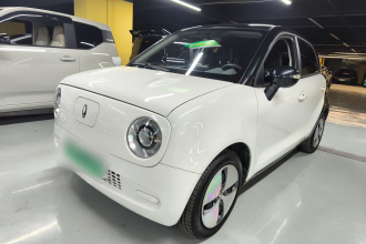 欧拉黑猫 2021款 301km 萌宠版