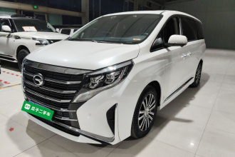 广汽传祺 传祺M8 2021款 领秀系列 390T 至尊版