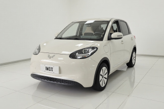 五菱汽车 五菱缤果 2023款 333km 快享款