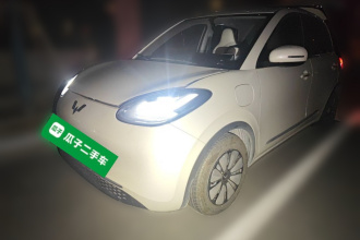 五菱汽车 五菱缤果 2024款 333km 悦享款
