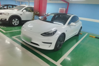 特斯拉 Model 3 2020款 标准续航后驱升级版