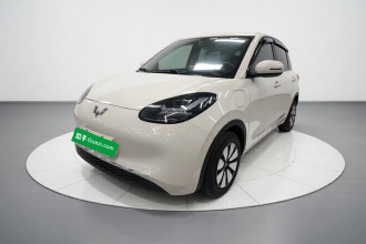 五菱汽车 五菱缤果 2024款 333km 悦享款