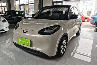 五菱汽车 五菱缤果 2023款 333km 悦享款