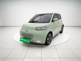 欧拉白猫 2020款 305km 豪华型