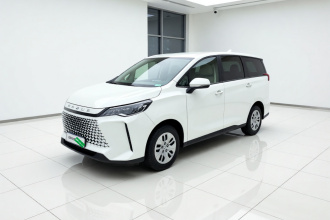 上汽大通MAXUS 大通G50 2024款 1.5T 龙行天下版