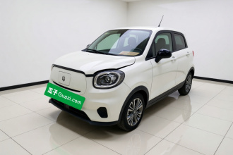 零跑汽车 零跑T03 2021款 400轻享版 磷酸铁锂