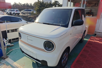 吉利银河 2024款 熊猫mini 200km 耐力熊