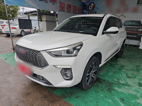 哈弗H6 Coupe 2018款 红标 1.5T 自动两驱超豪型