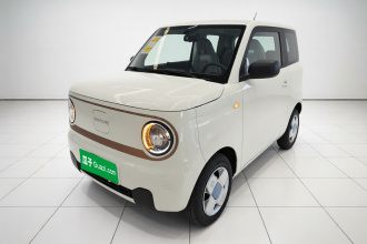 吉利银河 2024款 熊猫mini 200km 龙腾PRO版