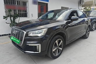 奥迪Q2L e-tron 2019款 Q2L e-tron 纯电智享型