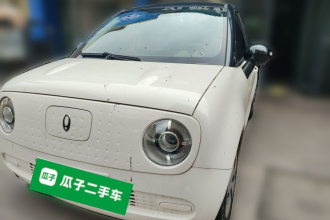 欧拉黑猫 2022款 改款 301km 萌宠版 磷酸铁锂