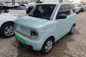 吉利银河 2023款 熊猫mini 200km 耐力熊