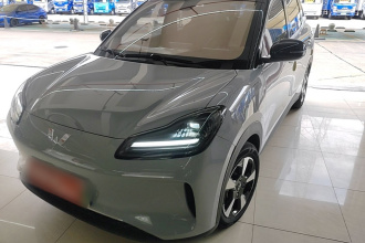 五菱汽车 五菱缤果PLUS 2024款 330km 五座版
