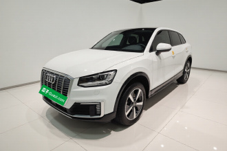 奥迪Q2L e-tron 2019款 Q2L e-tron 纯电智享型