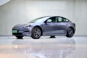 特斯拉 Model 3 2019款 标准续航后驱升级版