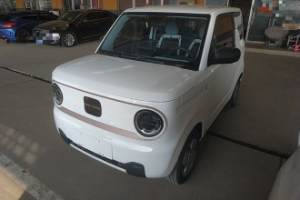 吉利银河 2023款 熊猫mini 200km 耐力熊