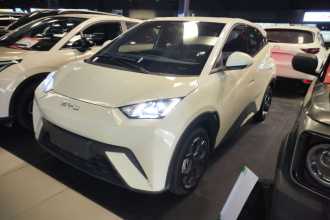 比亚迪 海鸥 2024款 荣耀版 405km 飞翔版