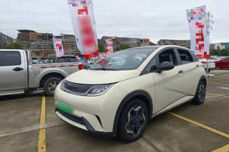 比亚迪 海豚 2021款 405km 时尚版