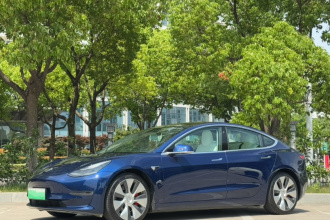 特斯拉 Model 3(进口) 2019款 Performance高性能全轮驱动版