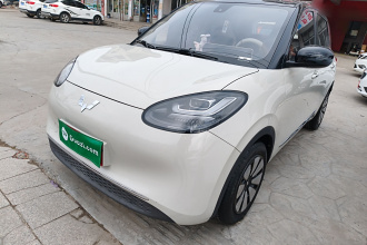 五菱汽车 五菱缤果 2023款 203km 舒享款