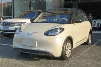 五菱汽车 五菱缤果 2023款 203km 轻享款