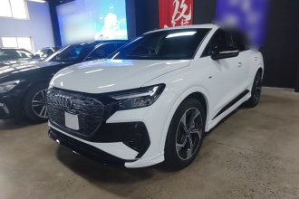 奥迪Q4 e-tron 2024款 40 e-tron 冠军纪念版
