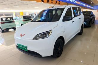 五菱汽车 五菱宏光新能源 2024款 纯电版 300KM 标准型