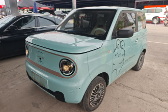 吉利银河 2023款 熊猫mini 200km 耐力熊