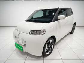 欧拉白猫 2022款 升级版 305km 豪华型 三元锂