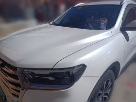 哈弗H6 2021款 国潮版 1.5T 自动都市版