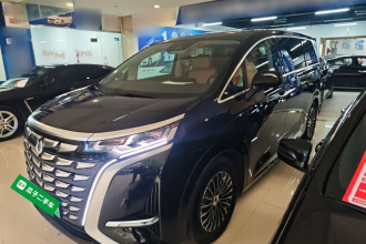 腾势D9 2024款 DM-i 980 四驱尊荣型