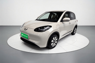 五菱汽车 五菱缤果 2024款 333km 悦享款
