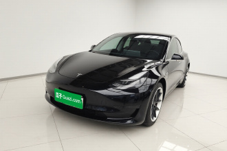 特斯拉 Model 3 2020款 标准续航后驱升级版