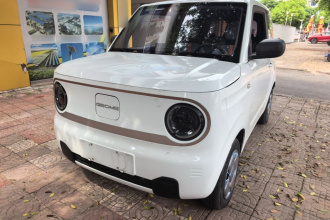 吉利银河 2023款 熊猫mini 200km 耐力熊